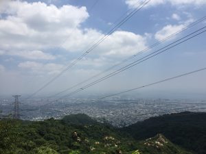 IMG_8775